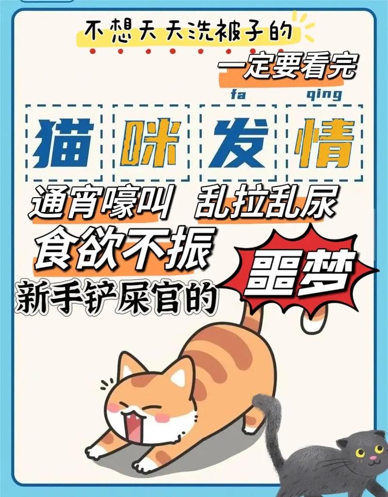 猫咪为何如此迷恋棉签？