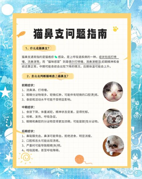 猫咪鼻支，了解症状与预防妙招