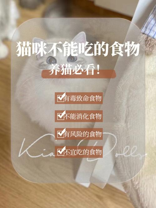 猫咪肝门红红，养猫时需注意的肝脏健康问题