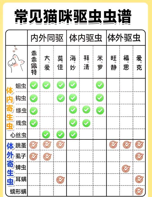 猫咪驱虫，全面指南与注意事项