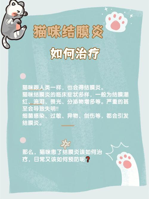 猫咪嗓子发炎了，如何正确护理