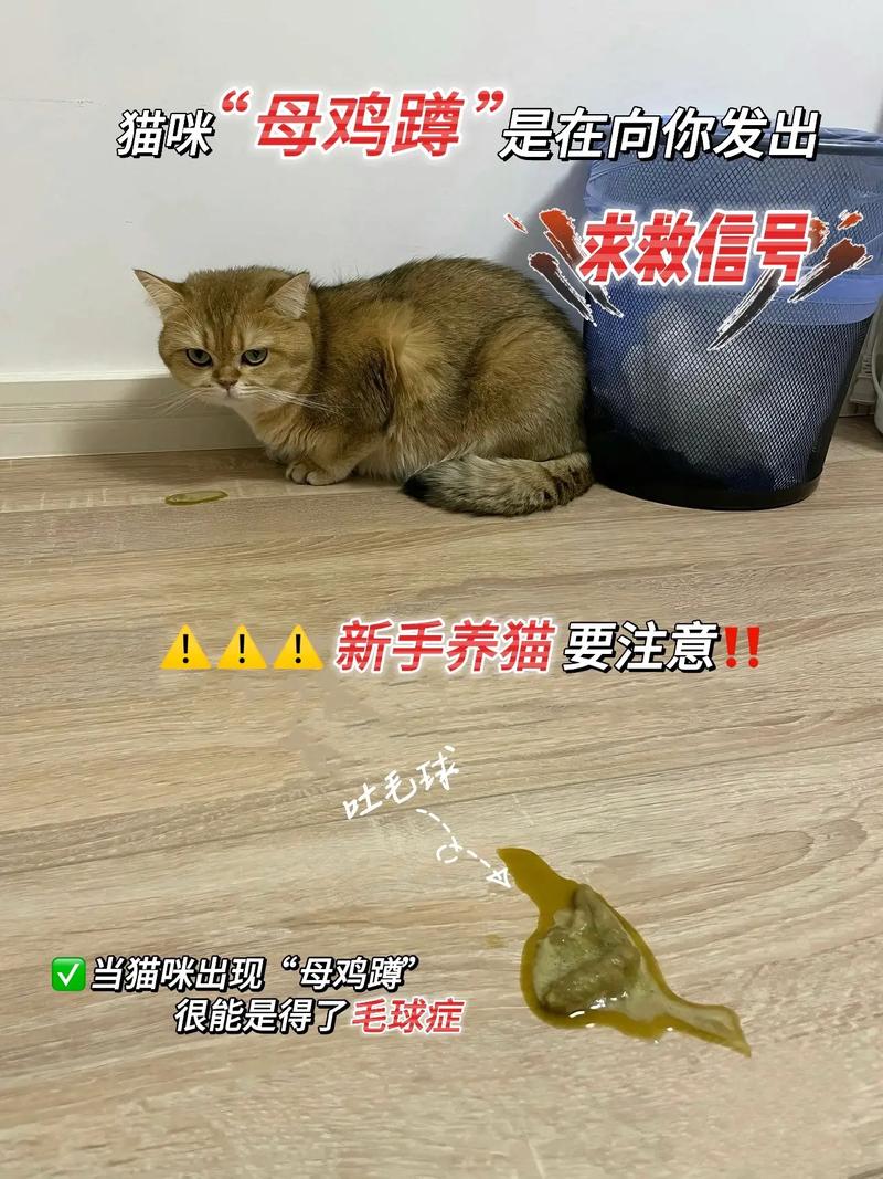 猫咪毛球堵塞，如何预防和处理？