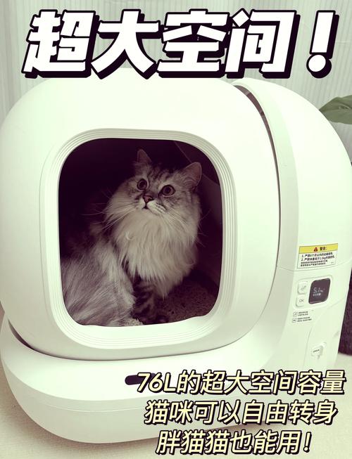 猫咪也能学会的酒精消毒小妙招