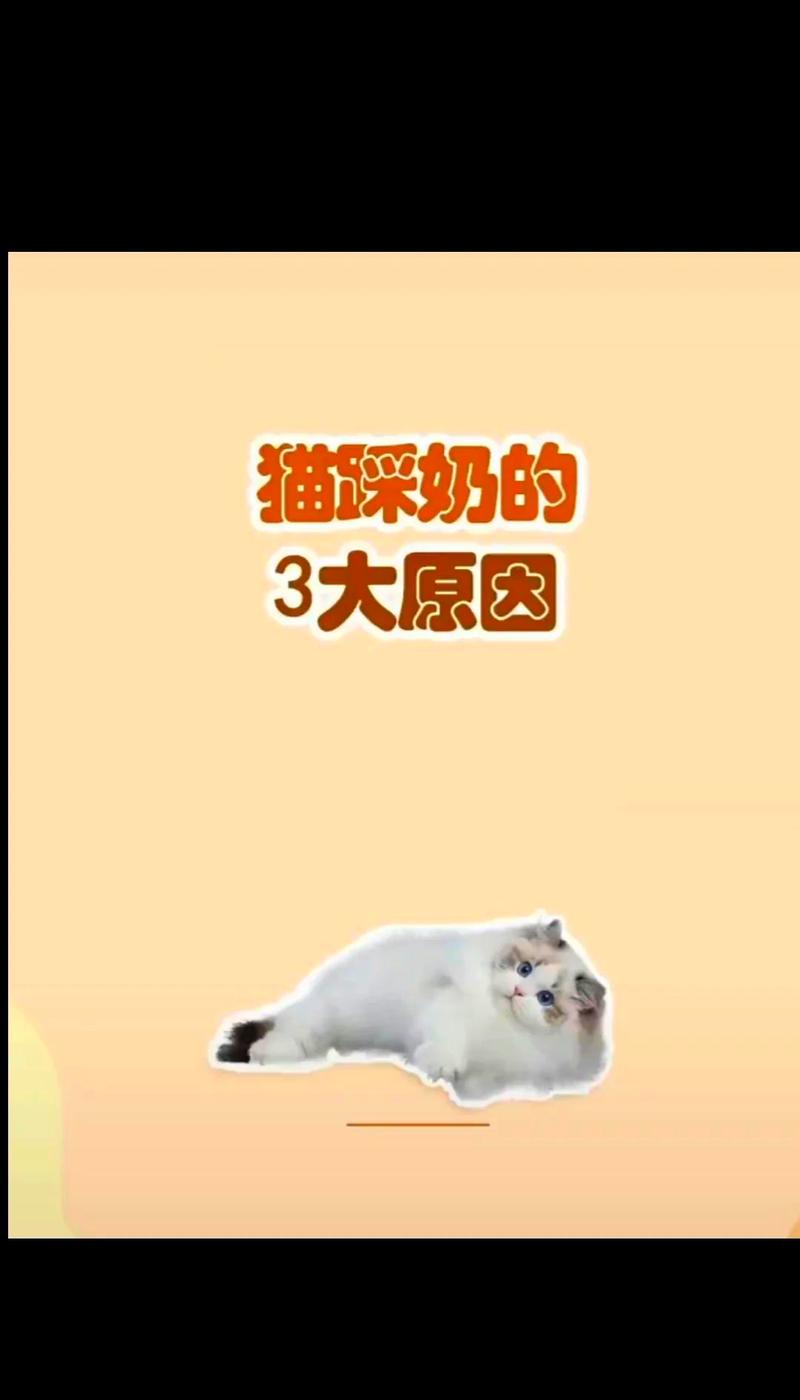 揭秘猫咪踩奶动作的神秘背后