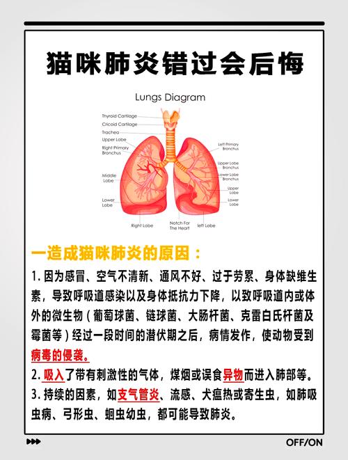 猫咪咳嗽的秘密，理解原因和照顾技巧