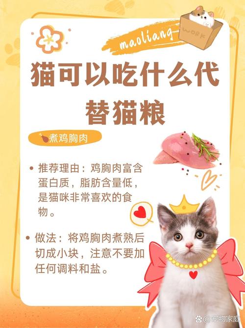 猫咪不爱吃猫粮？如何为爱宠找到合适的替代食物