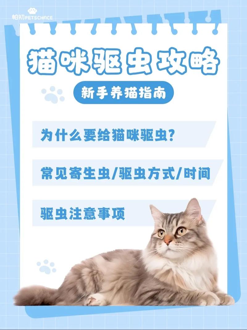 猫咪如何安全有效进行体外驱虫