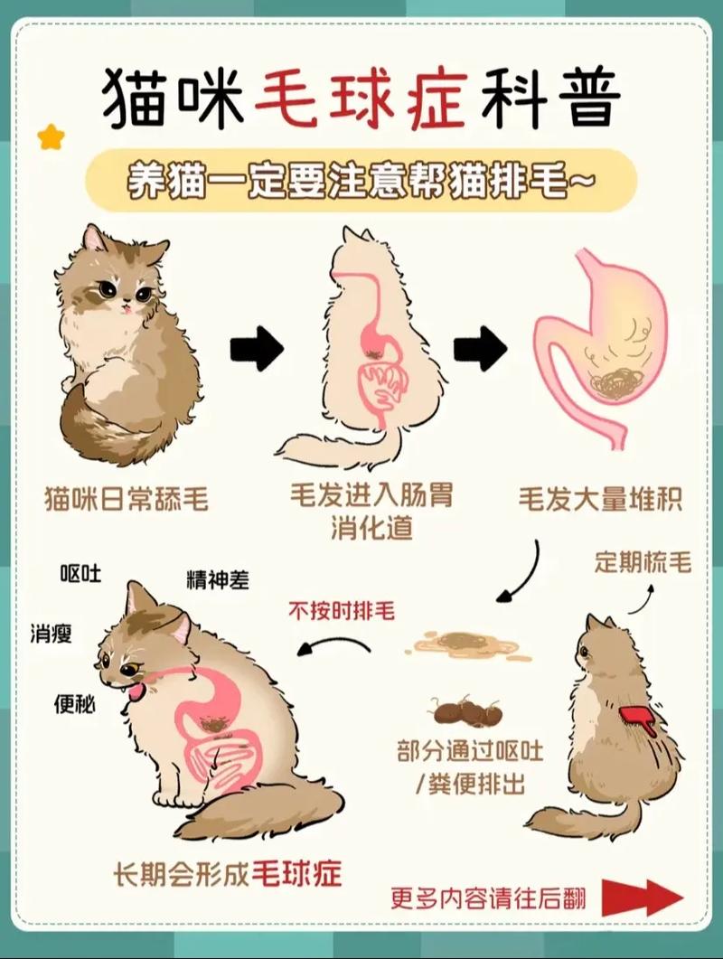 猫咪毛球中藏着的血色秘密