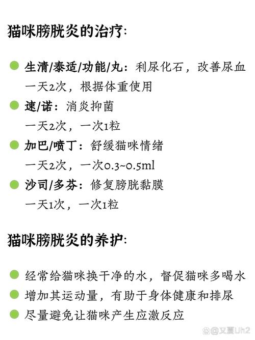 温柔地抚摸猫咪的膀胱？不是这样的，了解猫咪健康的重要信号