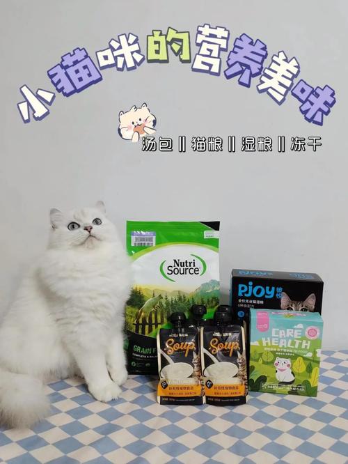 猫咪怀孕期间也能享受美味——虾类食品的安全性探讨