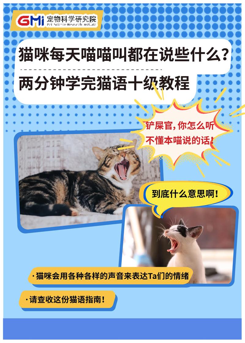 喵喵叫唤，原来是它在表达小猫咪的咕噜声与健康信号