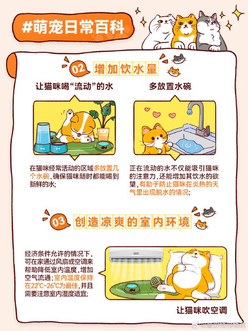 猫咪怕热？夏季如何为爱宠降温