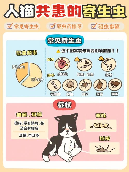 猫咪寄生虫，人类健康的隐形威胁