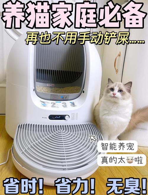 猫咪吃牛肉的好处，养宠人的福音