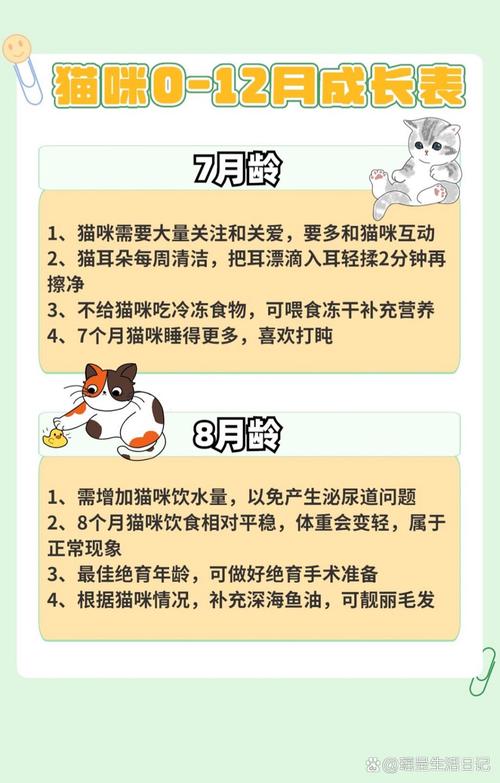 猫咪成长秘籍，月龄如何影响它的成长与发育