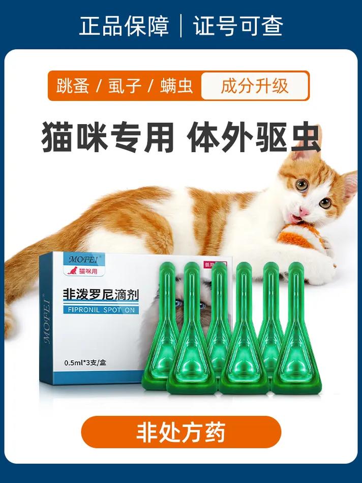 猫咪误食打虫药，如何应对宠物健康危机