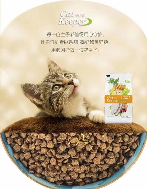 为小生命提供适宜的营养——揭秘幼猫猫咪的营养餐