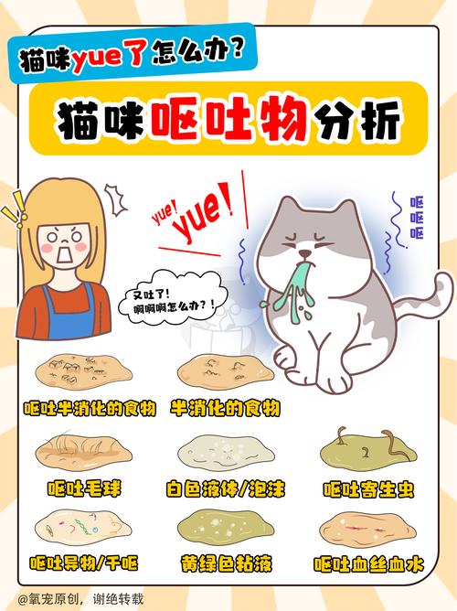 猫咪呕吐黄色液体的可能原因与应对措施