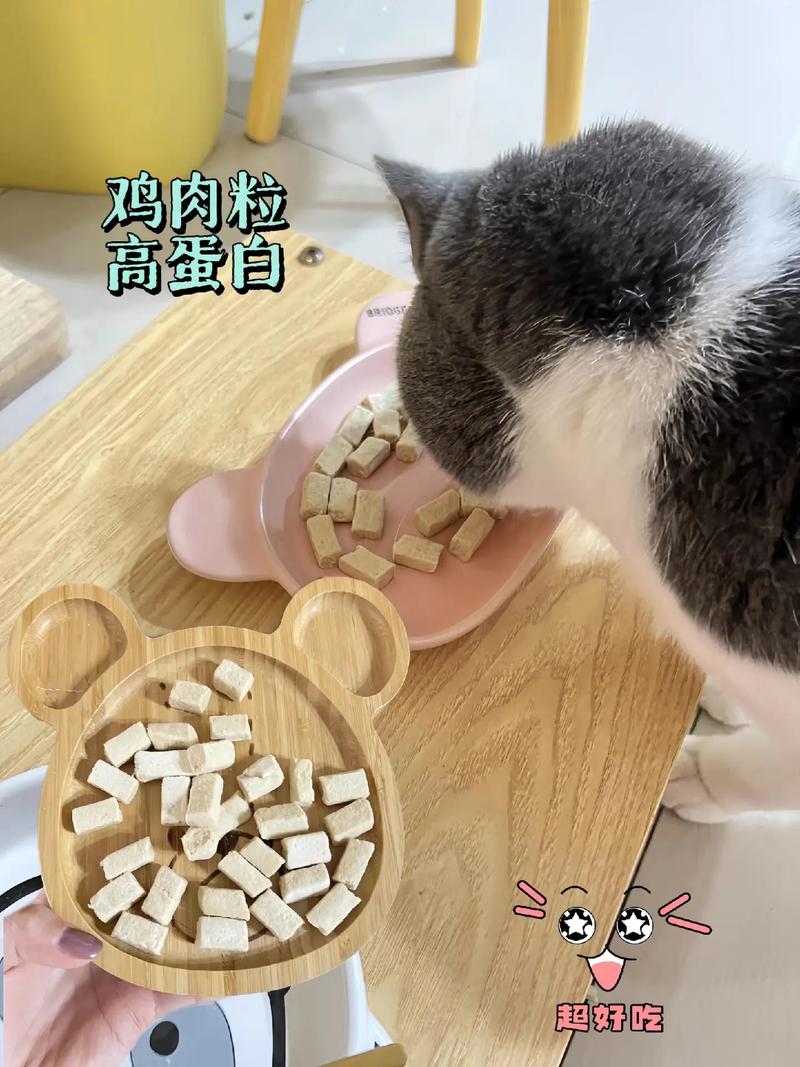 猫咪也能享用美味生鸡肉，但需注意这些细节