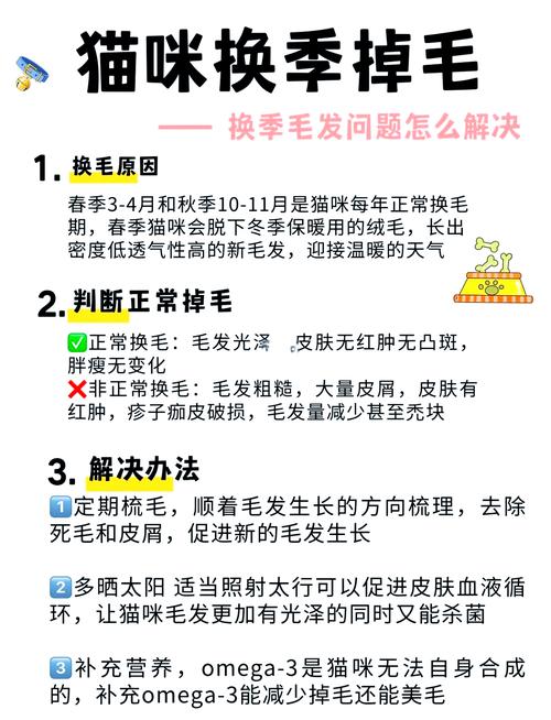 轻松搞定猫咪毛发难题 —— 快速有效的猫咪修毛指南