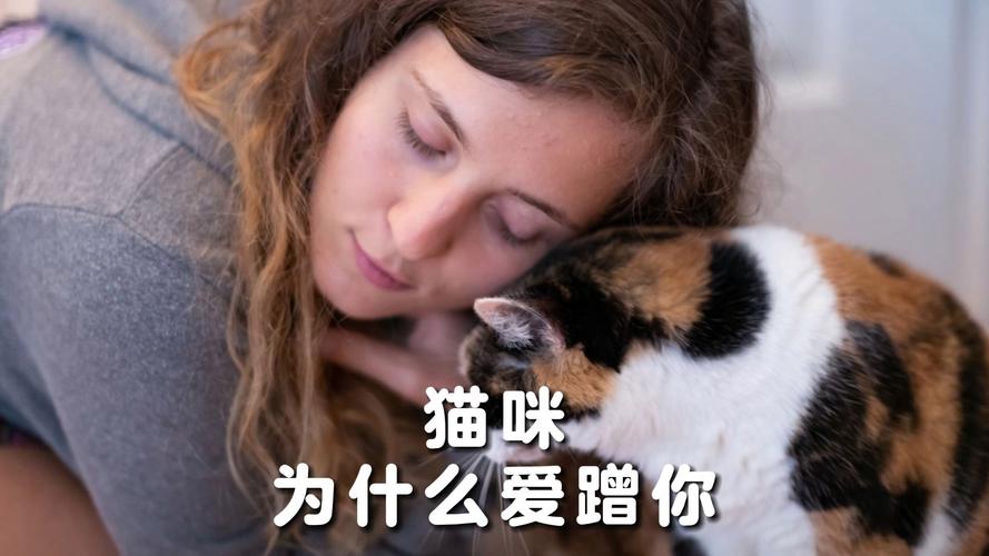 猫咪的爱意表达，为何它们总要亲昵地舔你