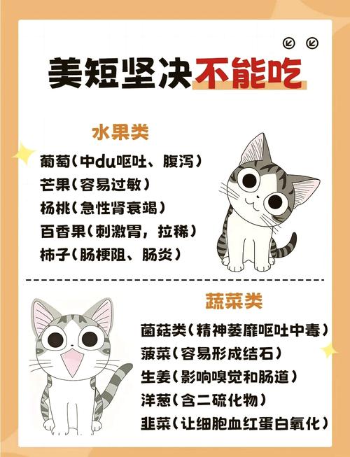 揭秘猫咪不能吃的那些美味蔬菜