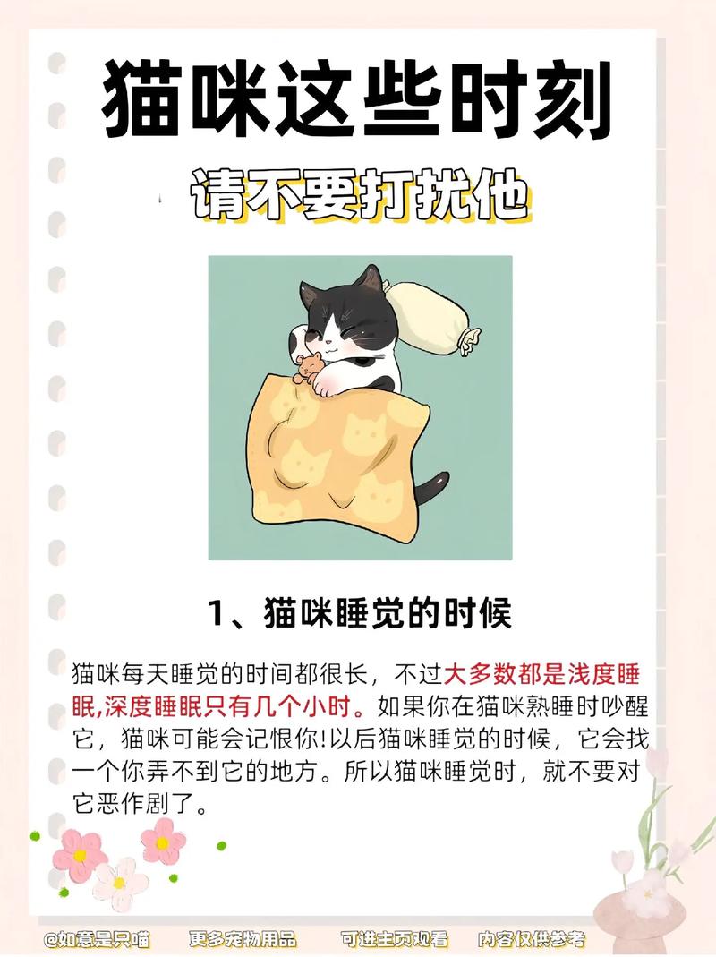 猫咪调皮时刻，揭秘你的爱宠日常趣事