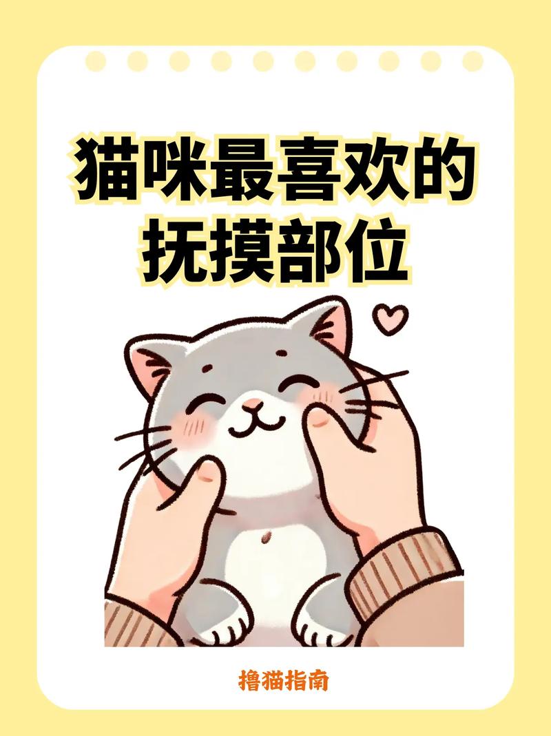 猫咪摸肚脐，温暖与误解的界限