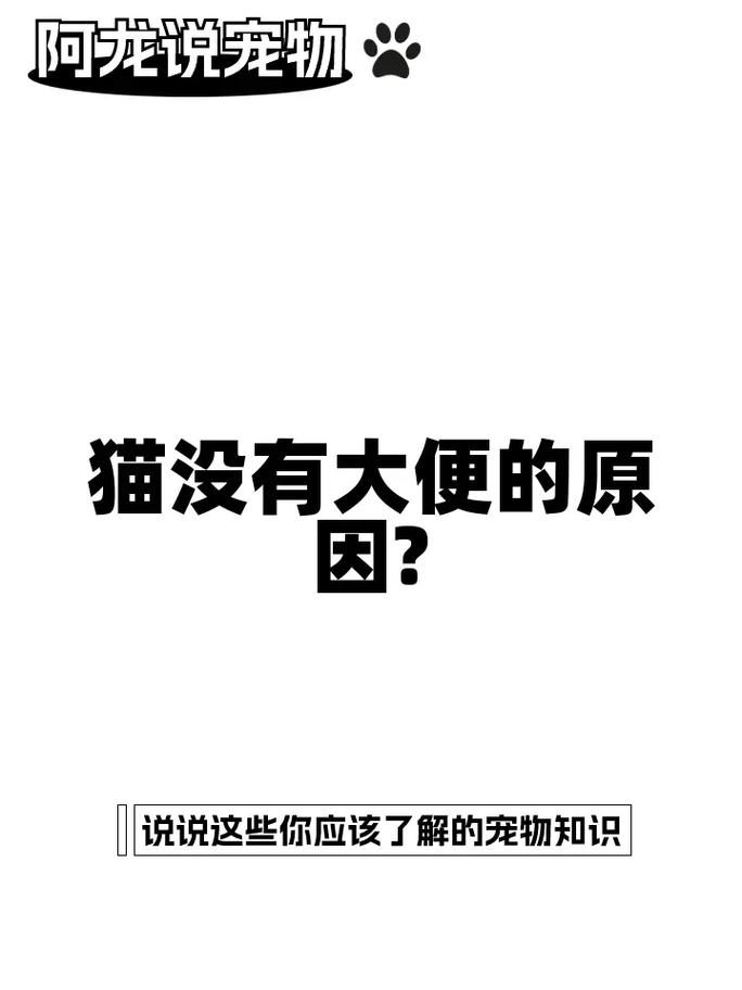 猫咪不吃东西是因为它不想拉屎？真相揭露