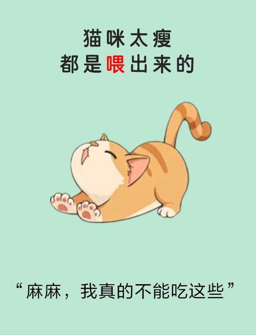 给怀孕猫咪的营养食谱——科学喂养你的毛孩子