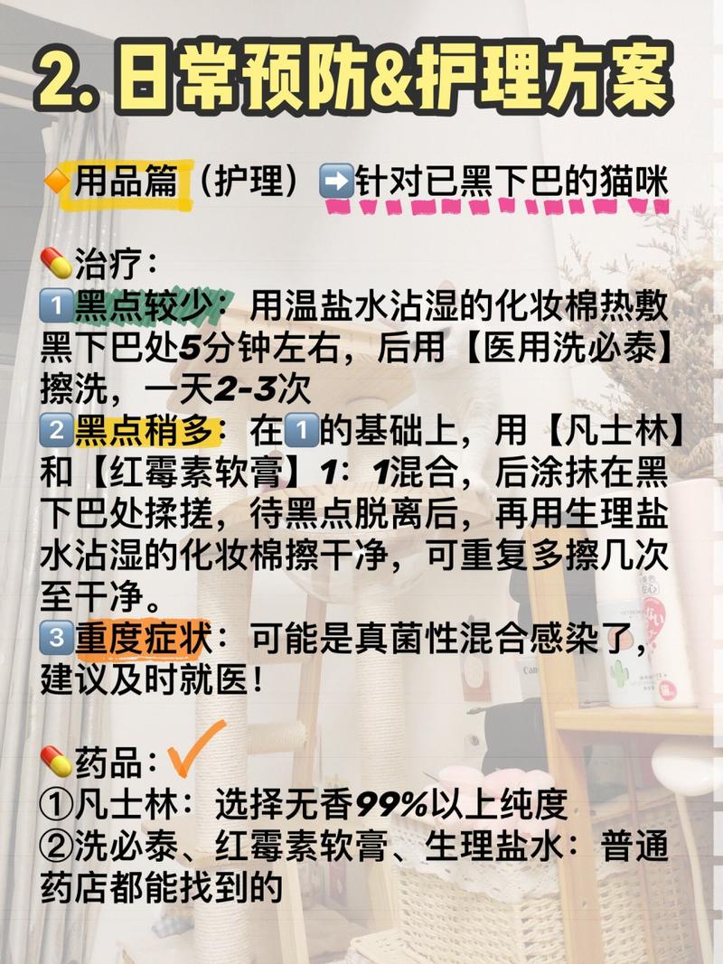 猫咪黑下巴，健康警示与日常护理