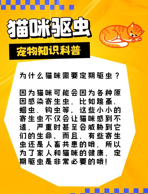 揭秘猫咪如何安全有效地驱虫