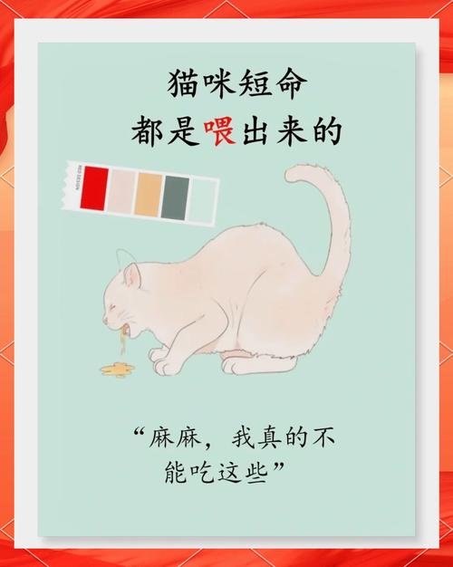 猫咪最佳消化食物指南