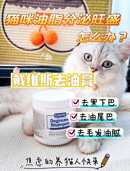 温柔的尾巴也有烦恼——猫咪慢性结肠炎