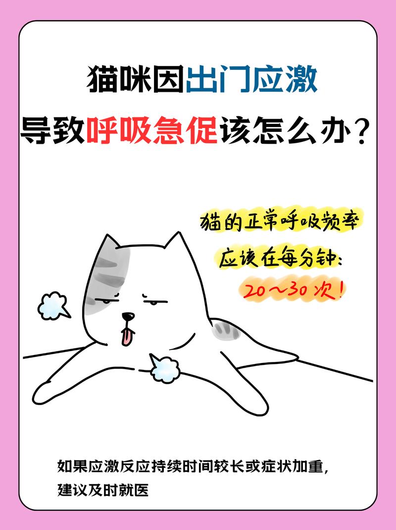 猫咪打完疫苗后出现呼吸急促的情况需谨慎