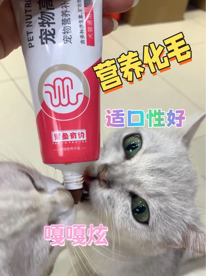 揭秘猫咪营养膏，为毛孩补给满满的能量