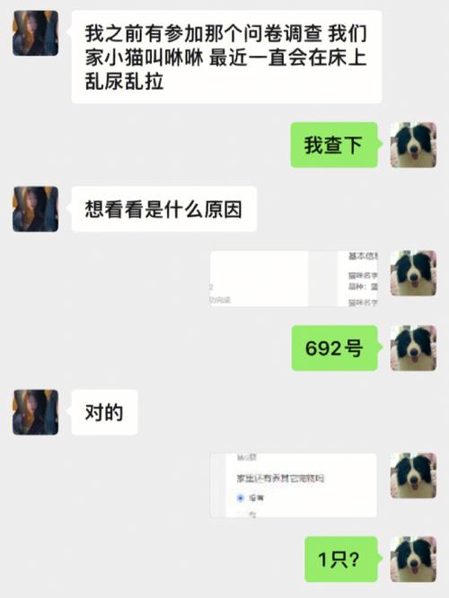 猫咪的枕头悲剧，如何解决猫咪尿在枕头上的问题