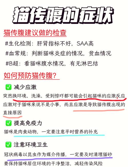 揭秘猫咪腹膜炎的治疗秘籍