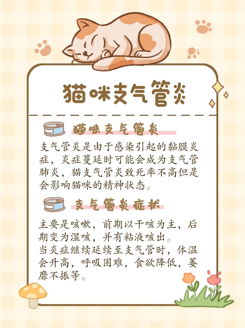 揭秘猫咪如何得肺炎，常见原因与预防措施