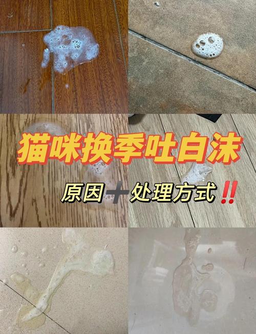 猫咪突然吐白沫，警惕背后可能的严重状况