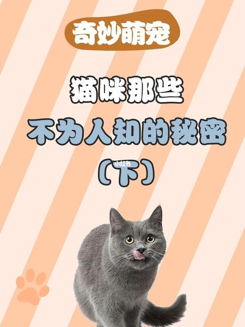 猫咪的味蕾秘密，揭秘猫咪为何不吃鱼的秘密