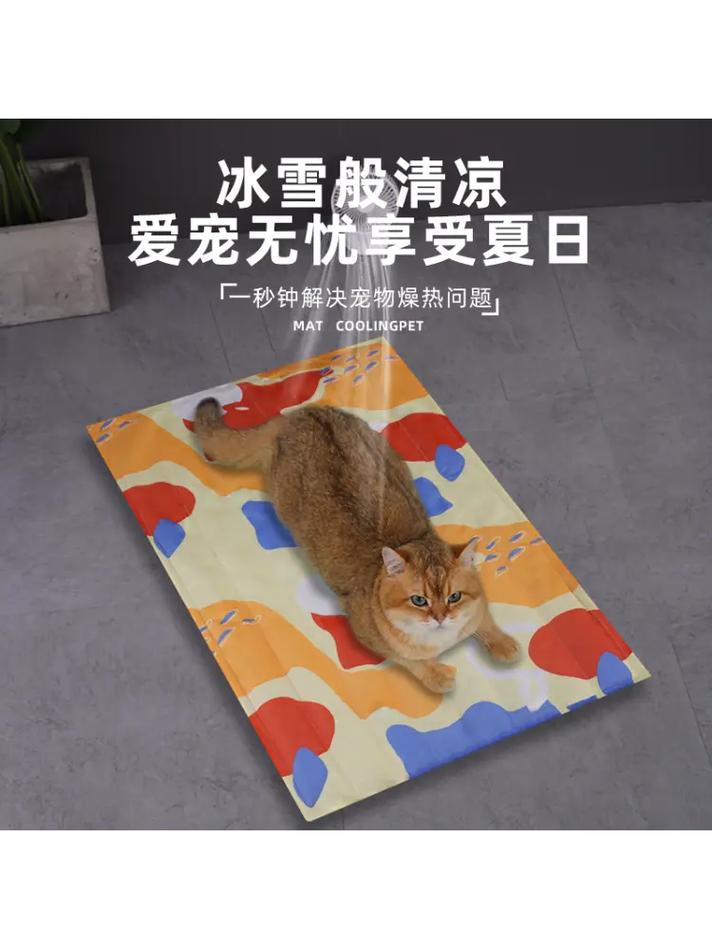 夏日里猫咪的清凉秘籍，如何为爱宠降温