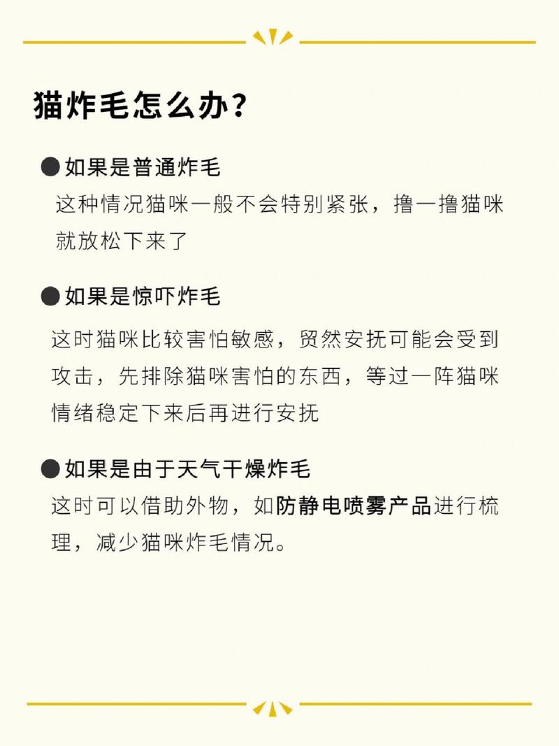 揭秘猫咪炸毛真相，理解与解决