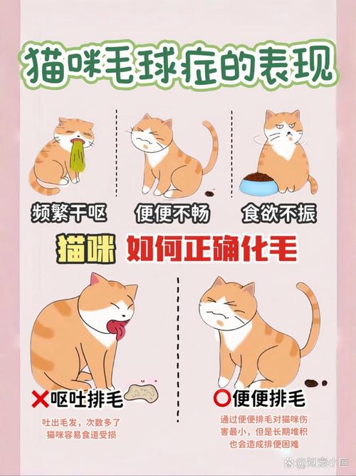 猫咪孕期为何不吃东西？专家解析孕猫饮食难题