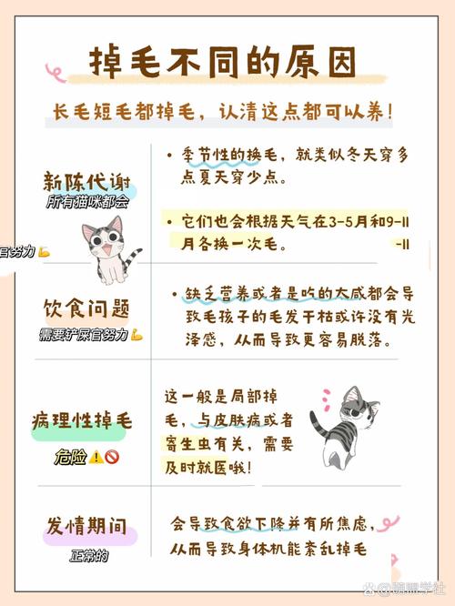 猫咪春天是否掉毛？春季换季时的毛发护理指南