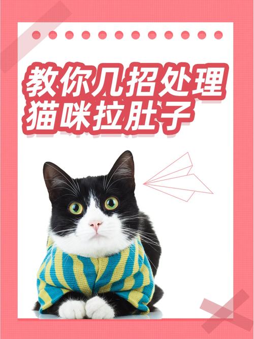 猫咪拉肚子屁眼红？解决方法你得知道