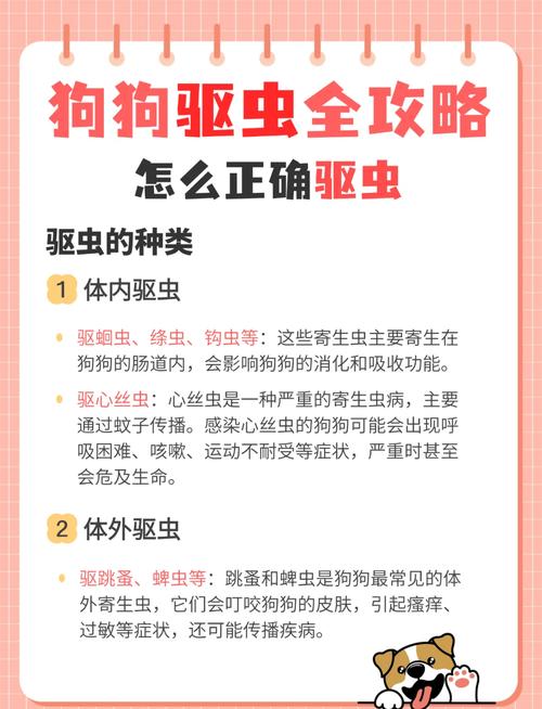 驱虫护毛，宠爱不掉队 —— 宠物店猫咪定期驱虫的重要性