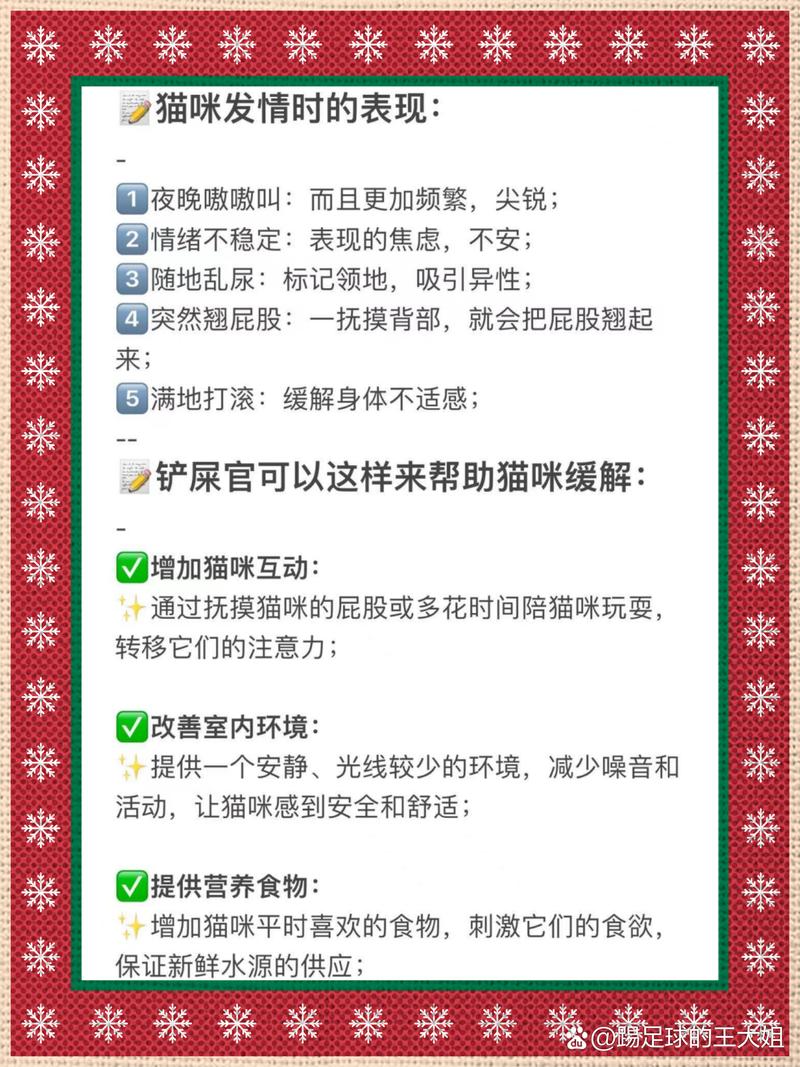 猫咪为何情有独钟——揭秘它们的毛发迷恋症