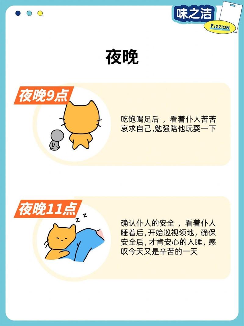 培养猫咪的作息