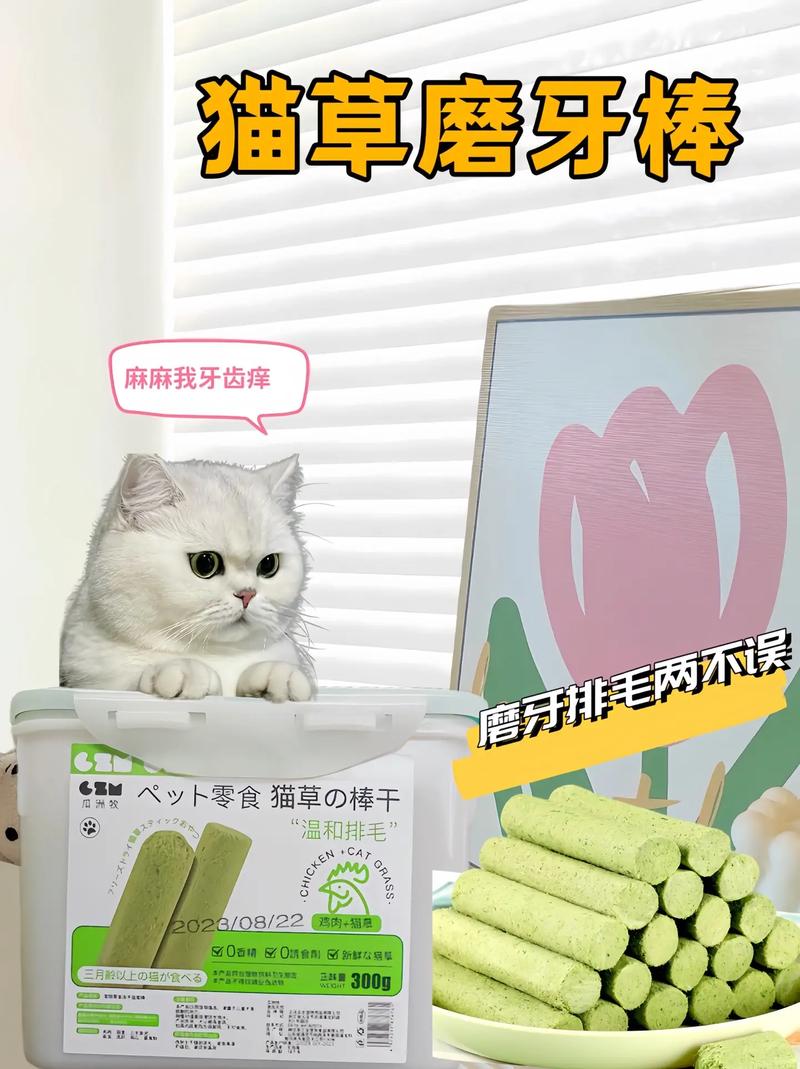 让毛孩子爱上健康的猫草，为你的猫咪提供天然的消化益品